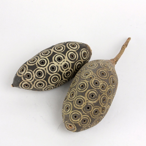 バオバブの実シェイカー