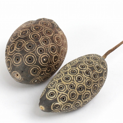 バオバブの実シェイカー大