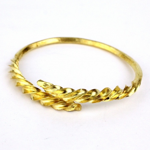 フラニ金色ブレス1　閉