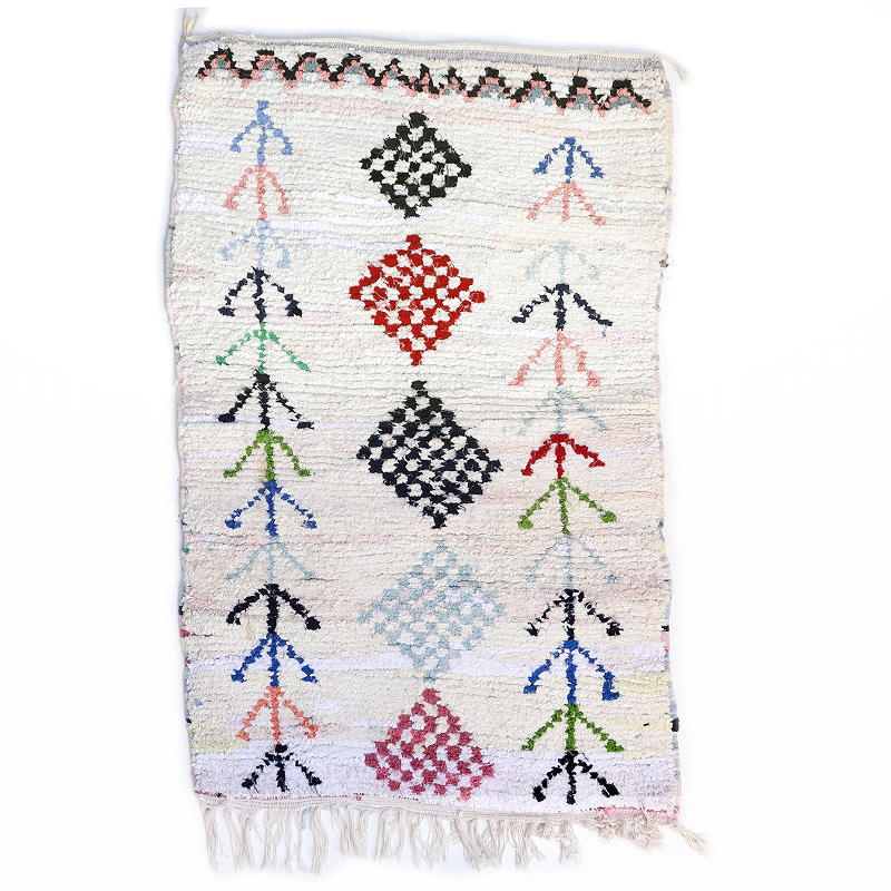 ボシャルウィット コットン 中 一点物-39