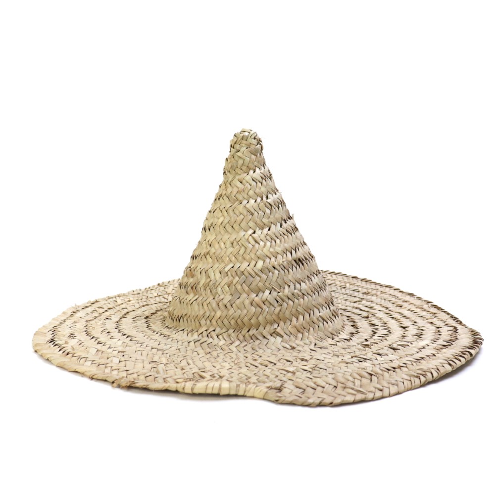 ワイルド椰子とんがり帽子