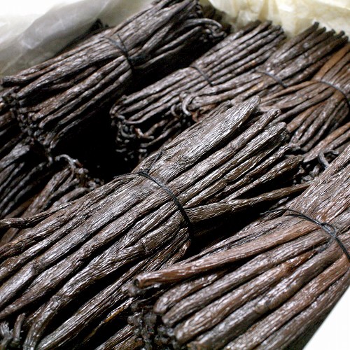 マダガスカル ブルボンバニラビーンズ Tropical Forest 1KG