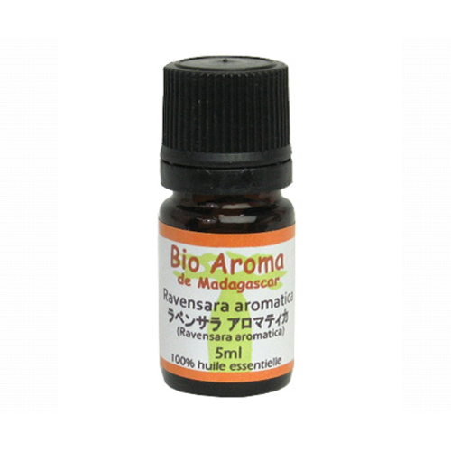 ラベンサラ アロマティカ 5ml RAVENSARA AROMATICA