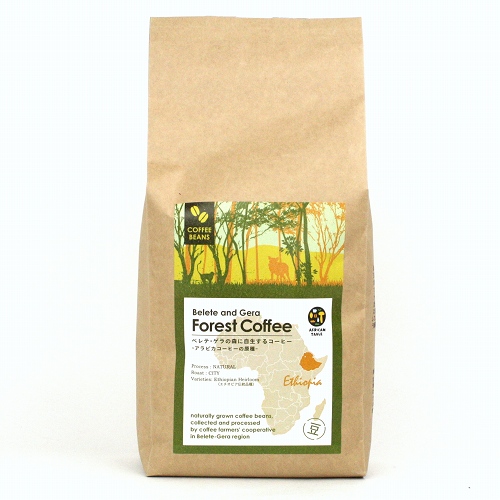 エチオピア ベレテ ゲラのコーヒー 業務用 焙煎 豆 450g 【受注】