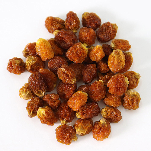 食用ドライほおずきゴールデンベリーPOKPOK  原料700G