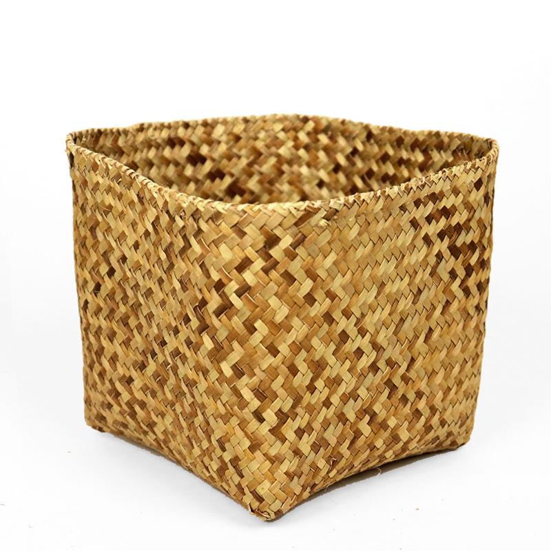 エラナカゴ  13x14