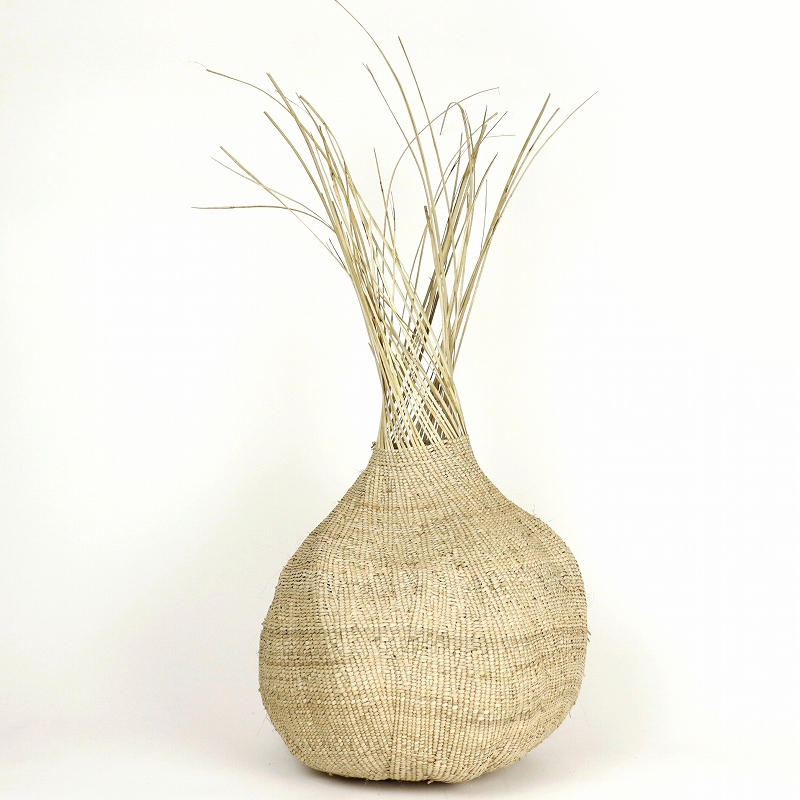 イララガーリックプラント 40CM