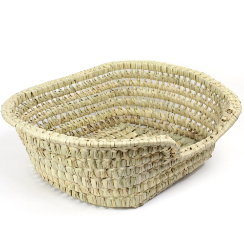 モロッコ格子水草 猫かご