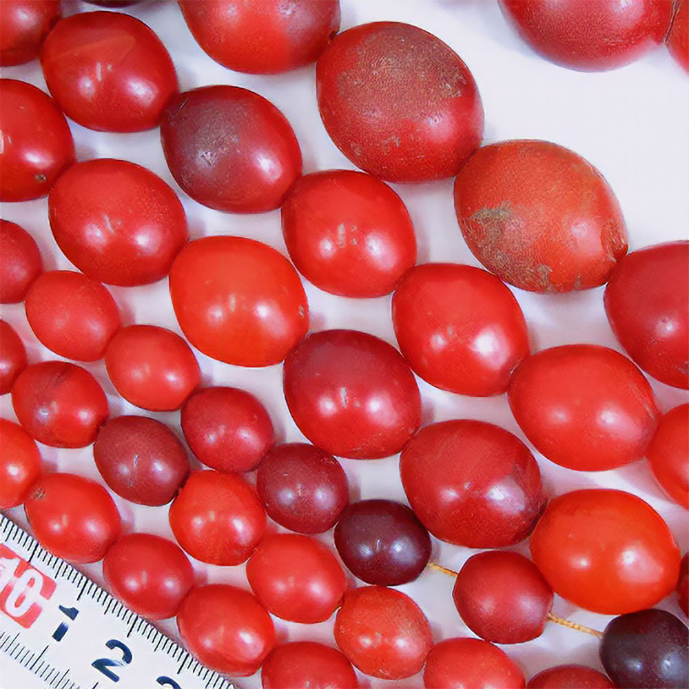 シダモ赤ビーズ透明中(バラ)