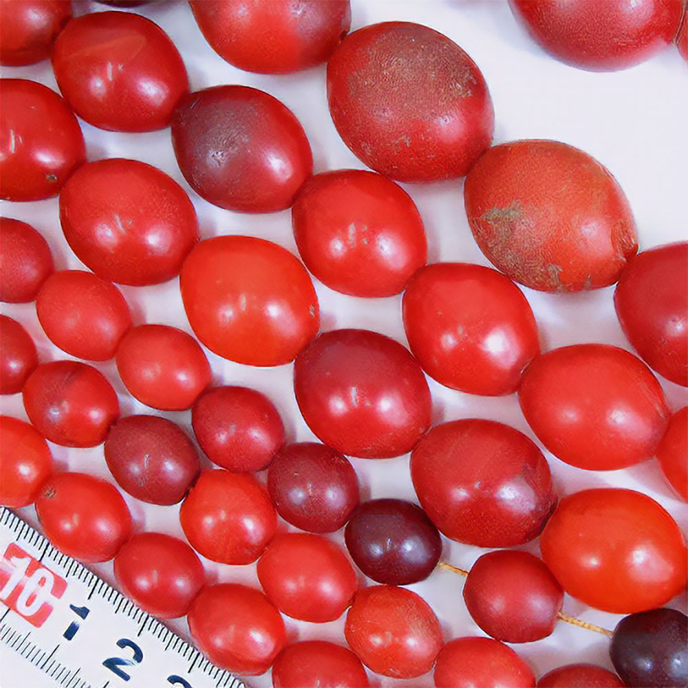 シダモ赤ビーズ透明大(バラ)