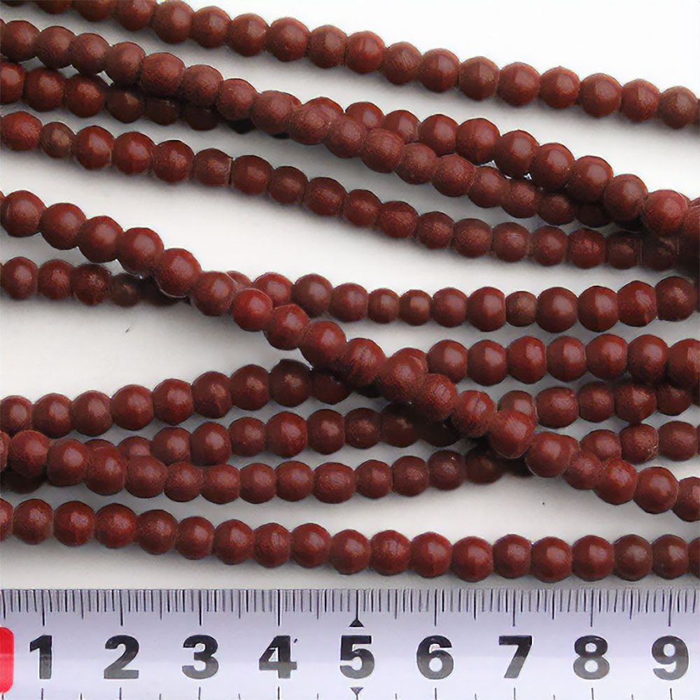 タンバビ-ズ 大 一連