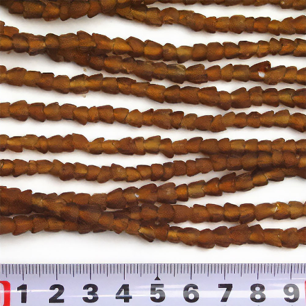 ドッツイ(一連)