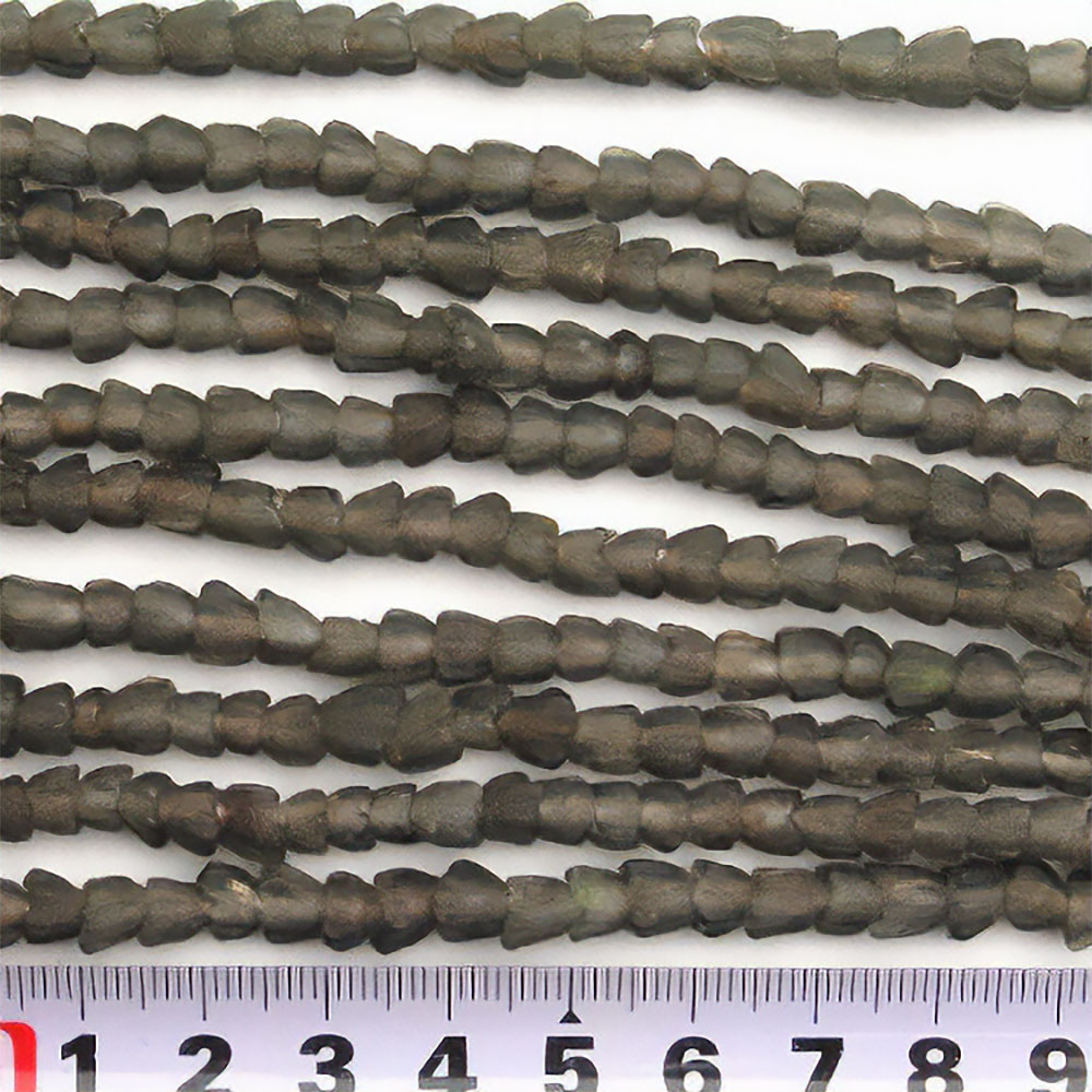 ドッツイ(一連)