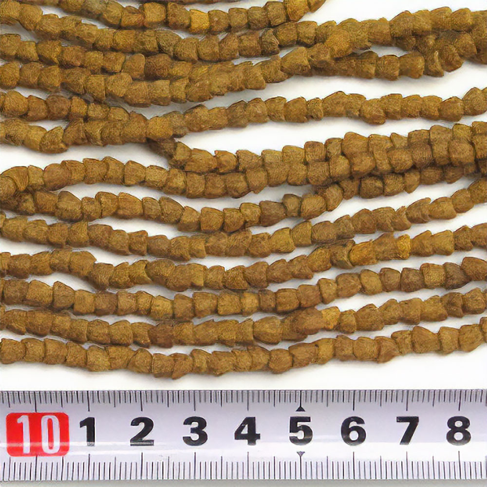 ドッツイ(一連)