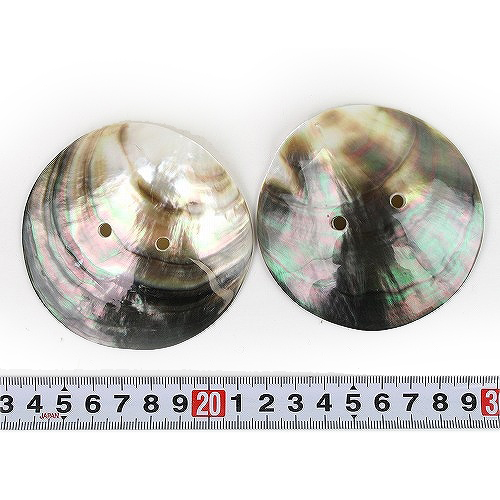 貝ボタン 径7〜8cm