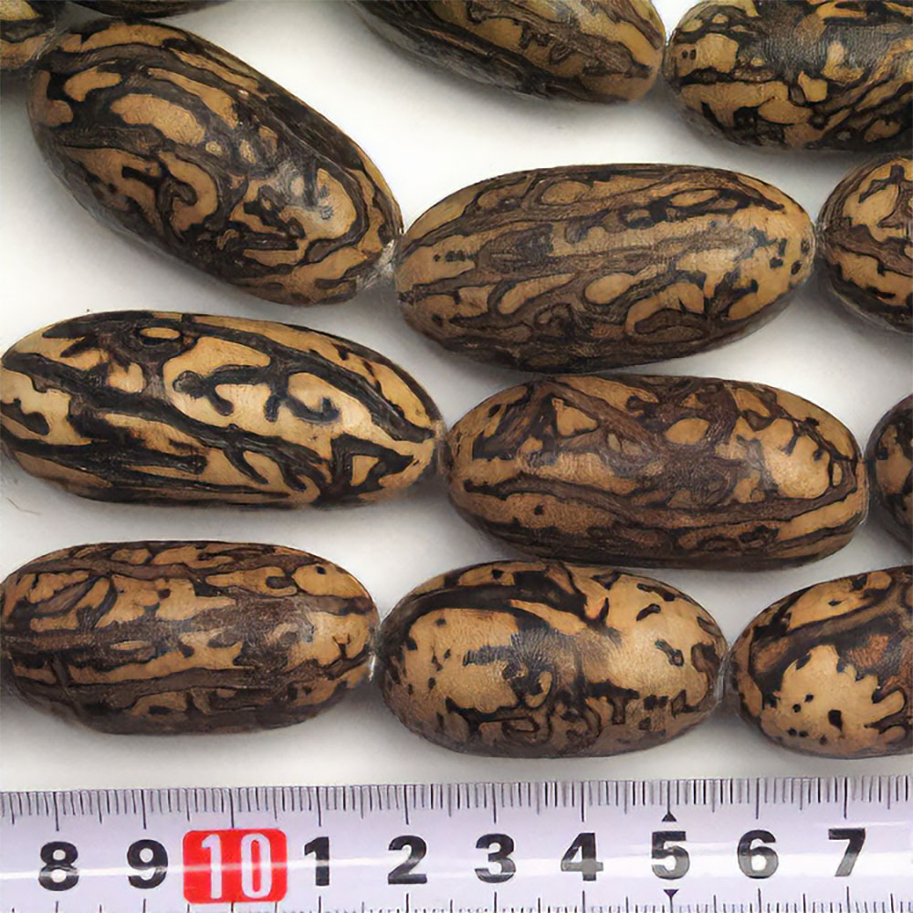 コラの実(一連)