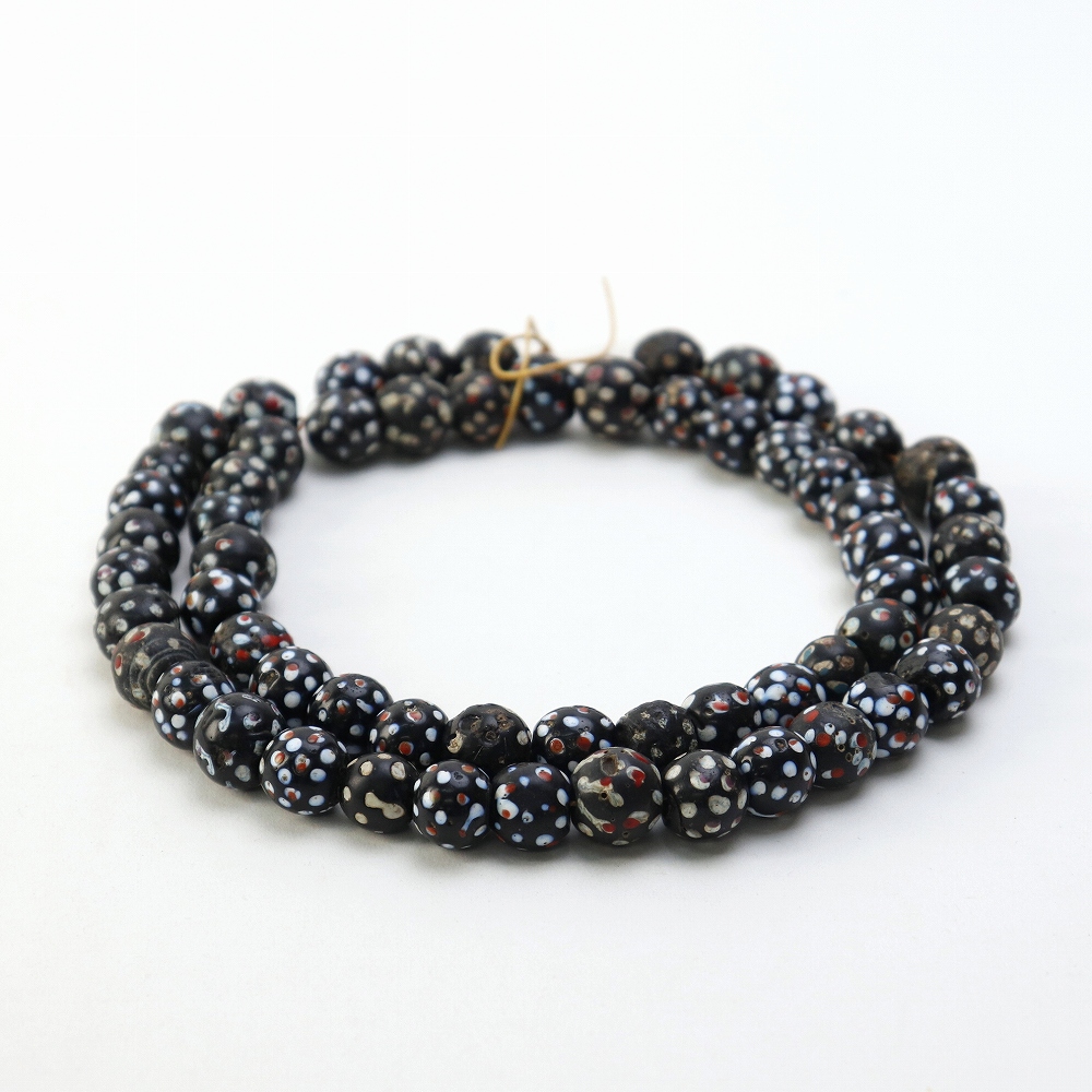 シダモ白点大玉 60