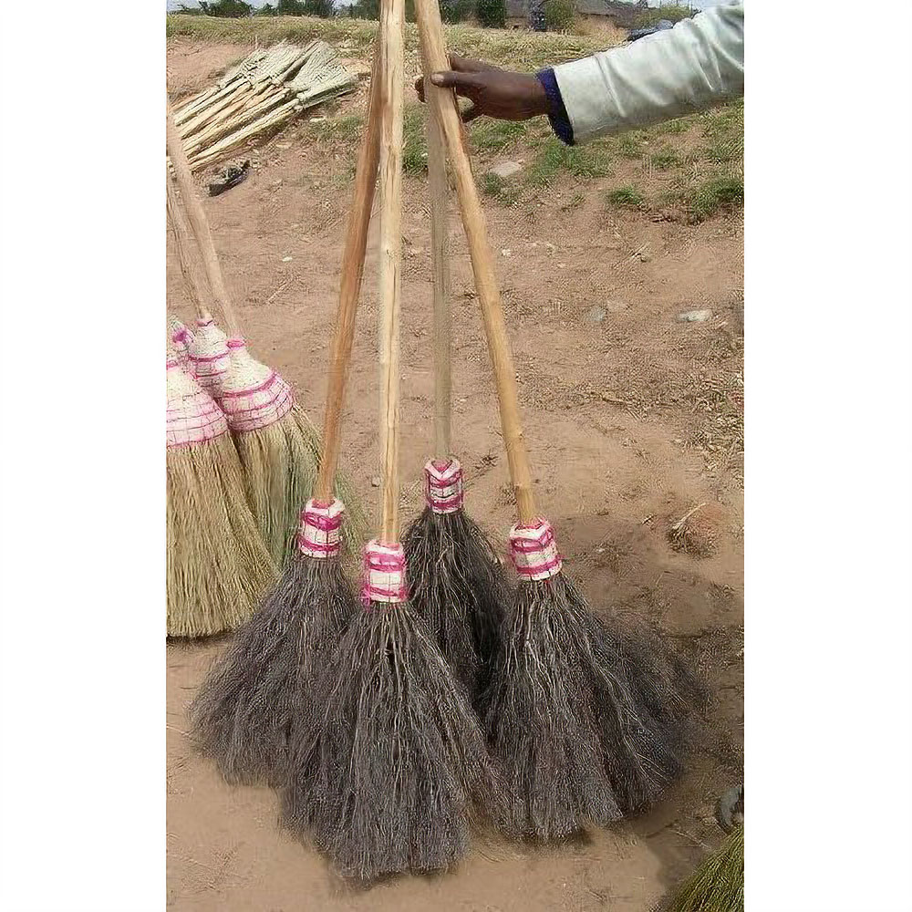 マダガスカル小枝ほうき
