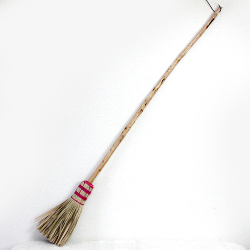 マダガスカルサトラナほうき 大