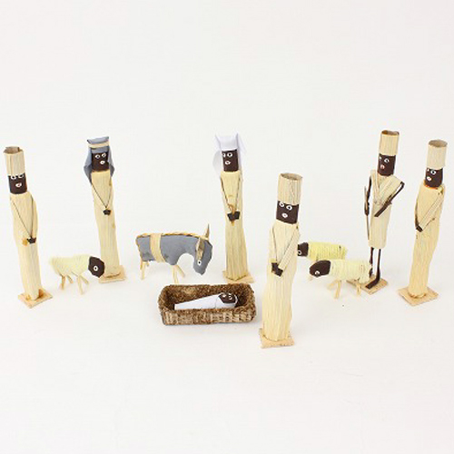 トウモロコシ 生誕セット