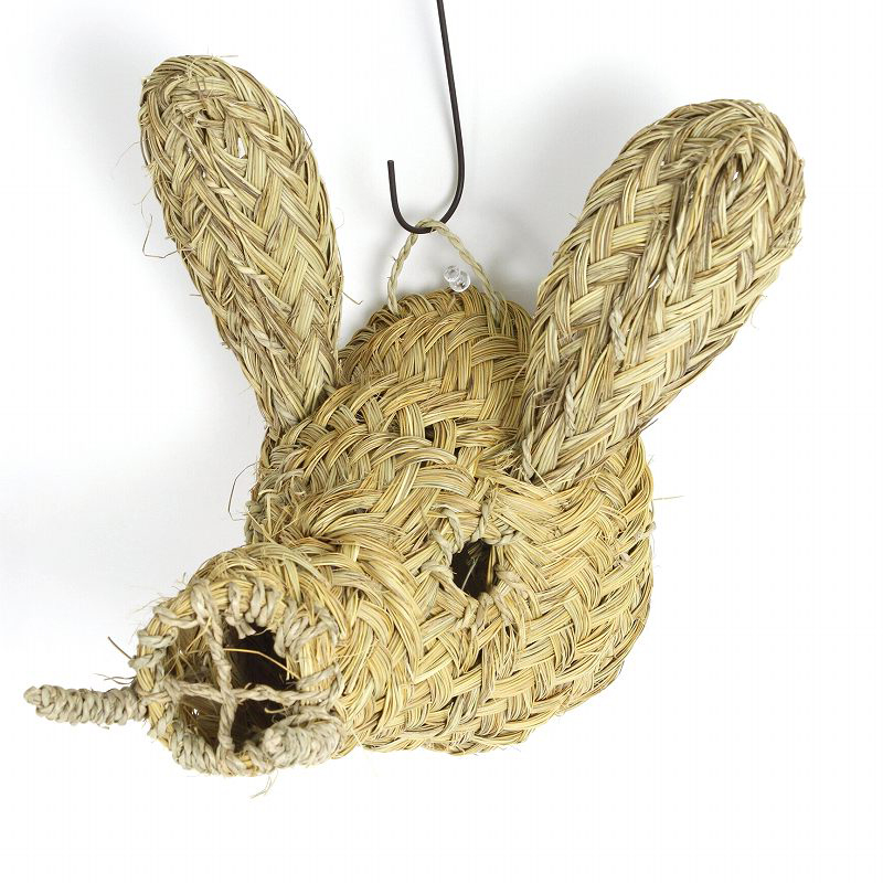 動物の頭 イノシシ