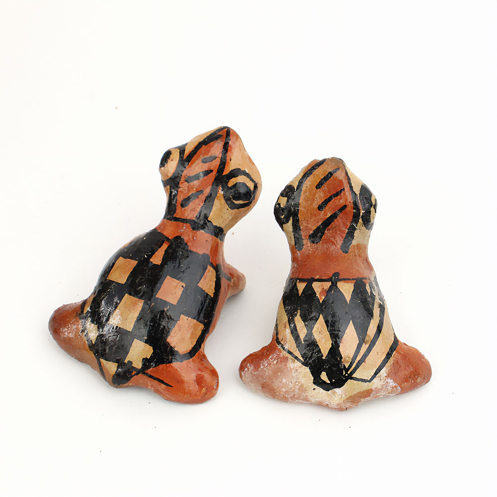 セジュナン カエル 小