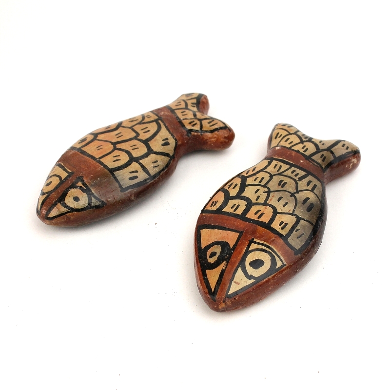 セジュナン サカナ 小